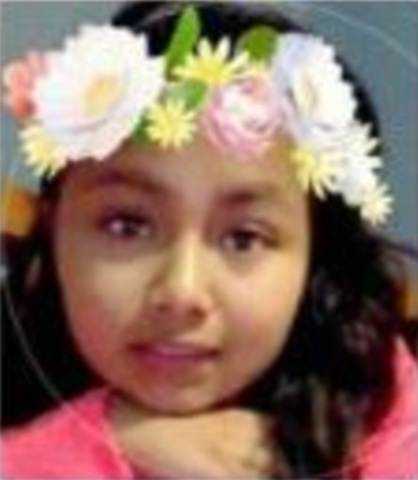Florida Amber Alert canceled for missing Lee County girl Florida Amber Alert canceled for missing Lee County girl